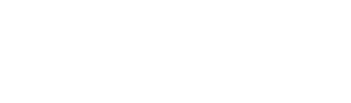 Dragonhawk Logo